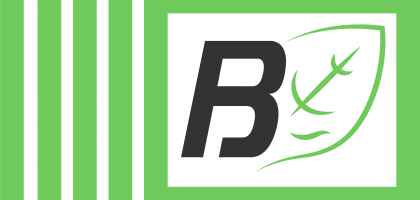 Logo_Bonanza_color